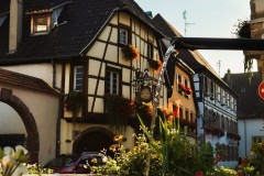 Colmar-la-fontana-del-paese